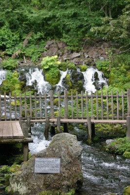 京極町 羊蹄ふきだし湧水 その2