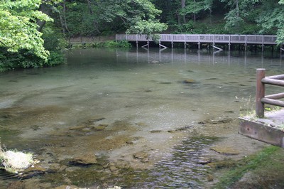 京極町 羊蹄ふきだし湧水 その4