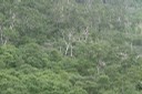 ニセコパノラマライン その4