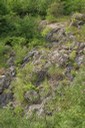 一億年前の地層？