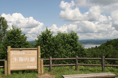 朱鞠内湖展望台