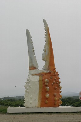 カニ全体像