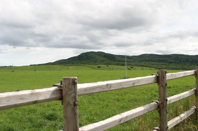 能取岬の牧場