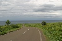 能取岬への道