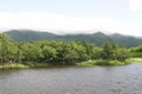 知床五湖 一湖 その2