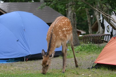 もそもそ。