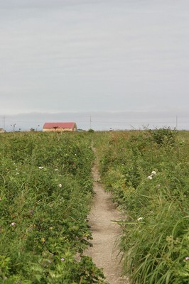 至トドワラの遊歩道