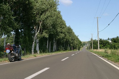 斜里町 町営牧場へ至る道