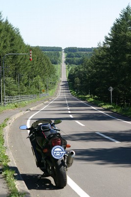 北19号