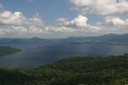 登ってみた