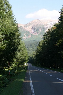道道949を進む