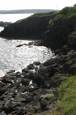 花咲岬の海岸