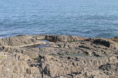 花咲岬の海岸 南側