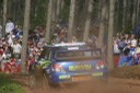 #5 Petter Solberg (WR-SUBARU) [5/8]
