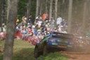 #5 Petter Solberg (WR-SUBARU) [7/8]