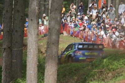 #5 Petter Solberg (WR-SUBARU) [8/8]
