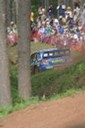#14 新井敏弘 (WR-SUBARU) [9/9]