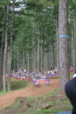 #2 Dani Sordo (WR-Citroen) [4/6]