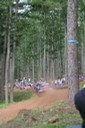 #2 Dani Sordo (WR-Citroen) [5/6]