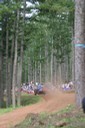 #2 Dani Sordo (WR-Citroen) [6/6]
