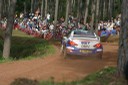 #7 Manfred Stohl (WR-PEUGEOT) [3/6]