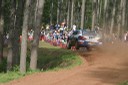#7 Manfred Stohl (WR-PEUGEOT) [5/6]