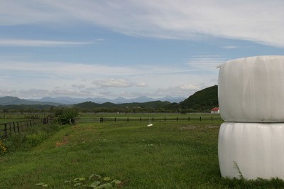 牧草ロールと牧場と