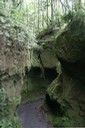 苔の洞門