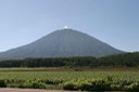 倶知安からの羊蹄山