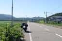 道道97