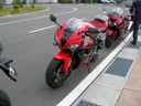 HONDA CBR600RR