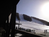 本日のスキー場